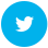 Twitter Icon