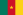 Cameroon Flag