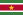 Suriname Flag