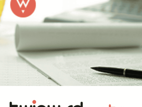 Twinword Writer