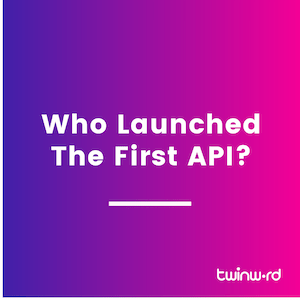 who launched the first api?