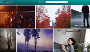 Screenshot of Pikiwizard, a stock-free image website.