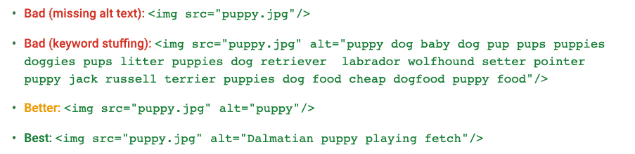 Google providing an example of the proper use of Alt text