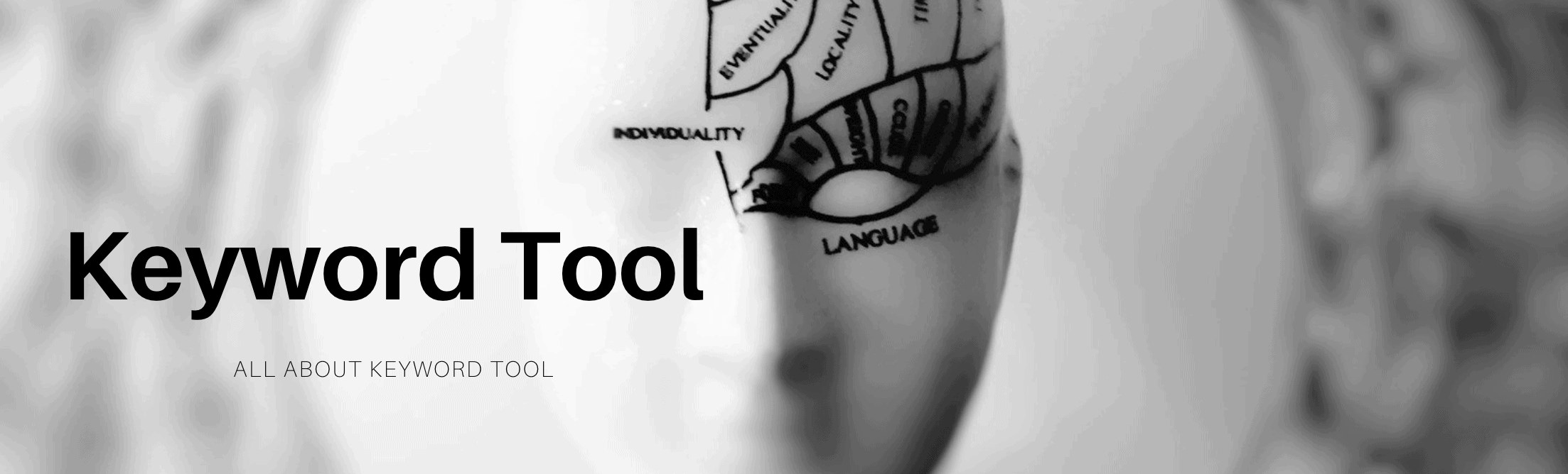 banner image of keyword tool