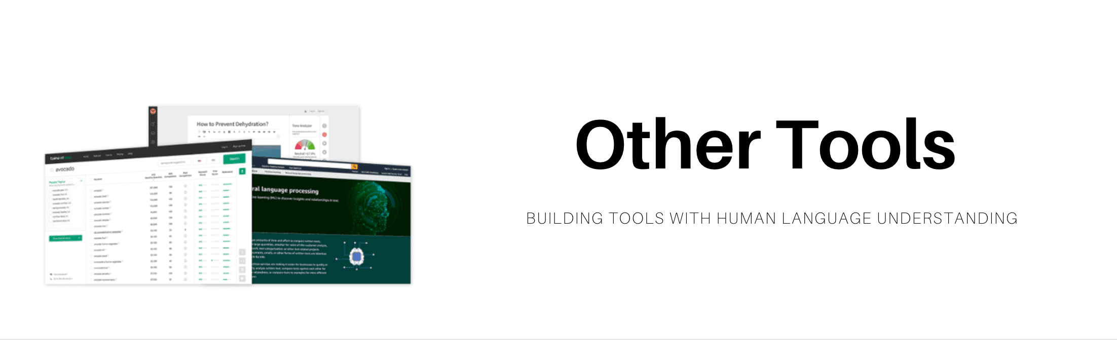 banner image of twinword products