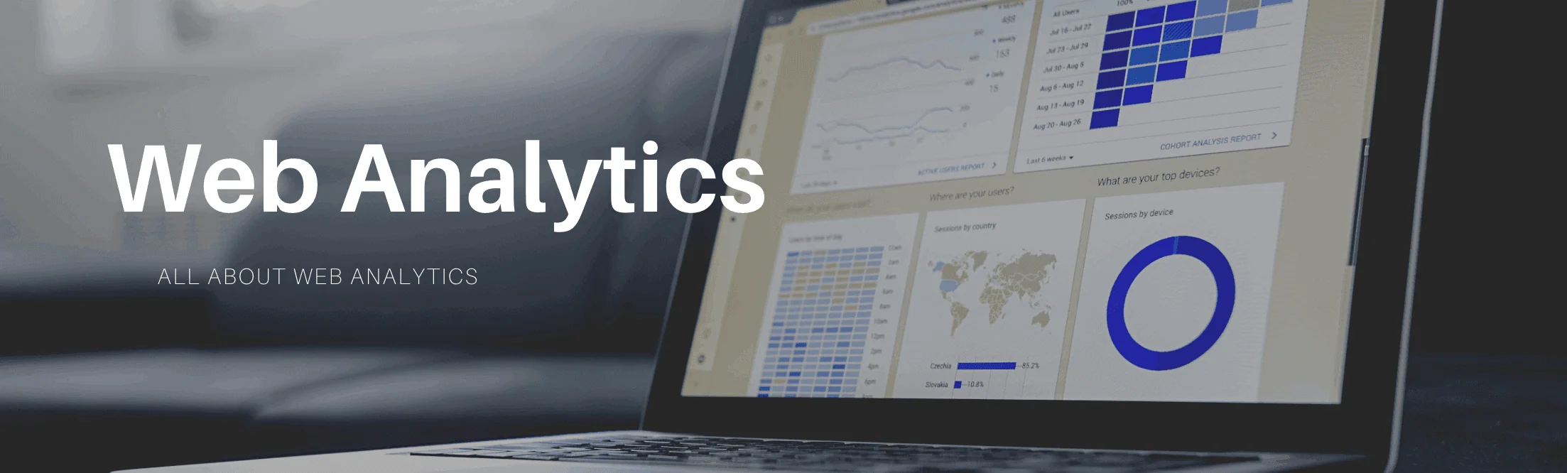 banner image of web analytics